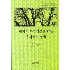 대학의 수업개선을 위한 효과적인 방법